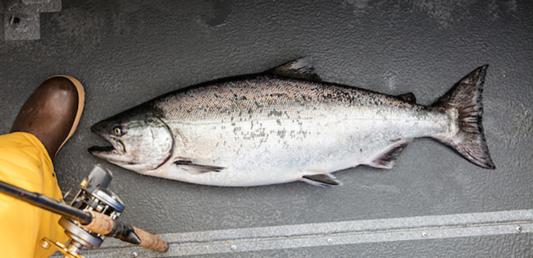 Exclusive VIP Alaskan Sport Fishing Experience